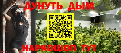 сатива Котовск